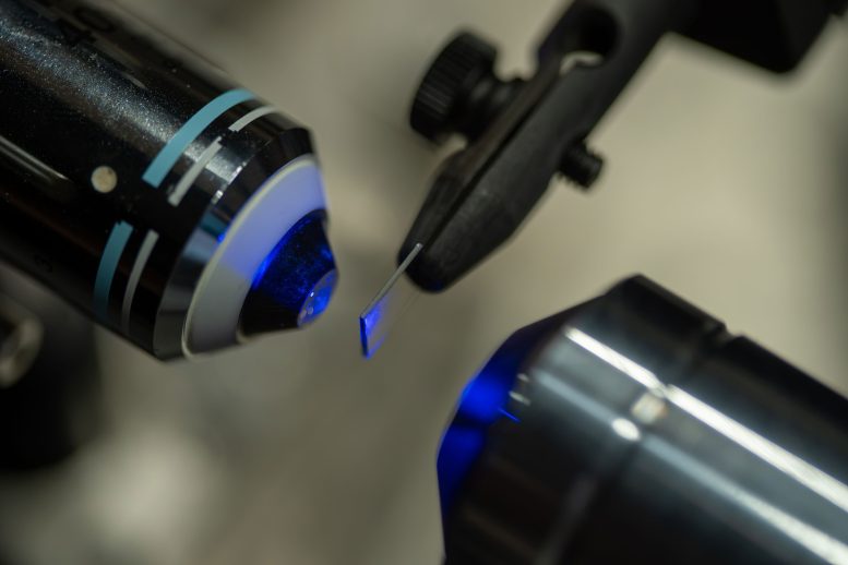 Sample of Magnetic Material Undergoes Optical Switching