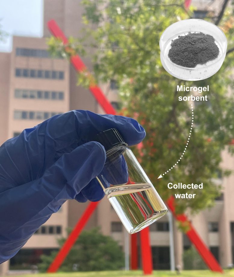 Sample of Water Collected Using Molecularly Engineered Hydrogel