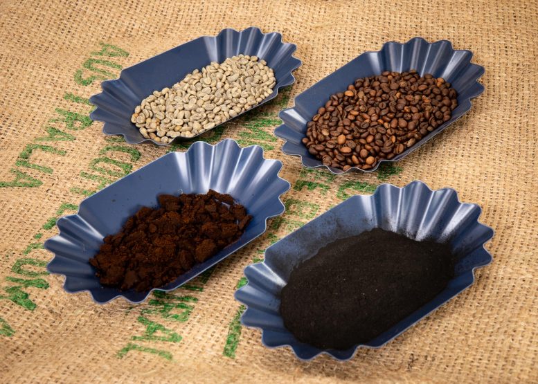 Samples of Coffee Beans Biochar