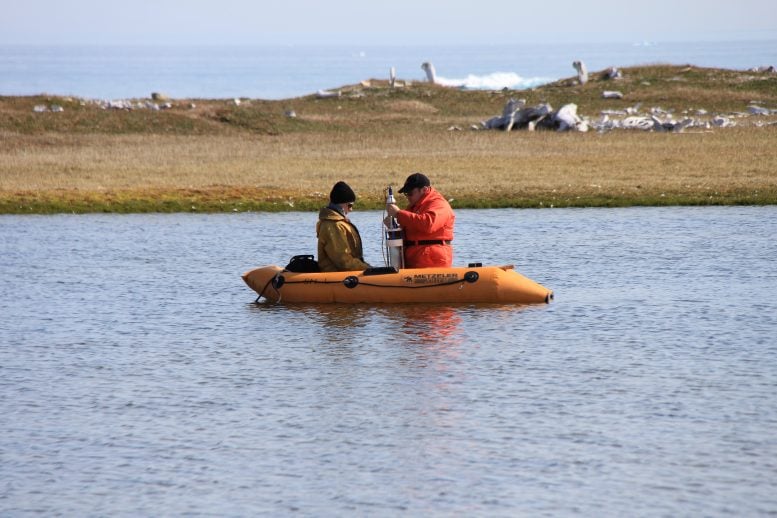 Sampling Crew Collecting a Sediment Core at PaJs 13