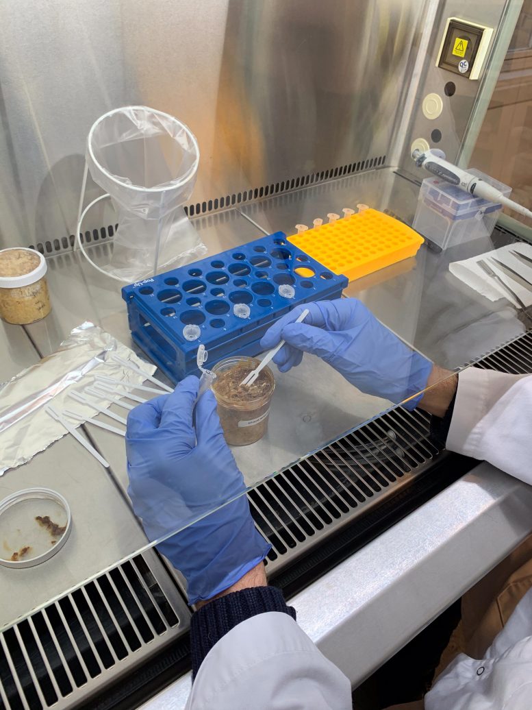 Sampling the Space Miso