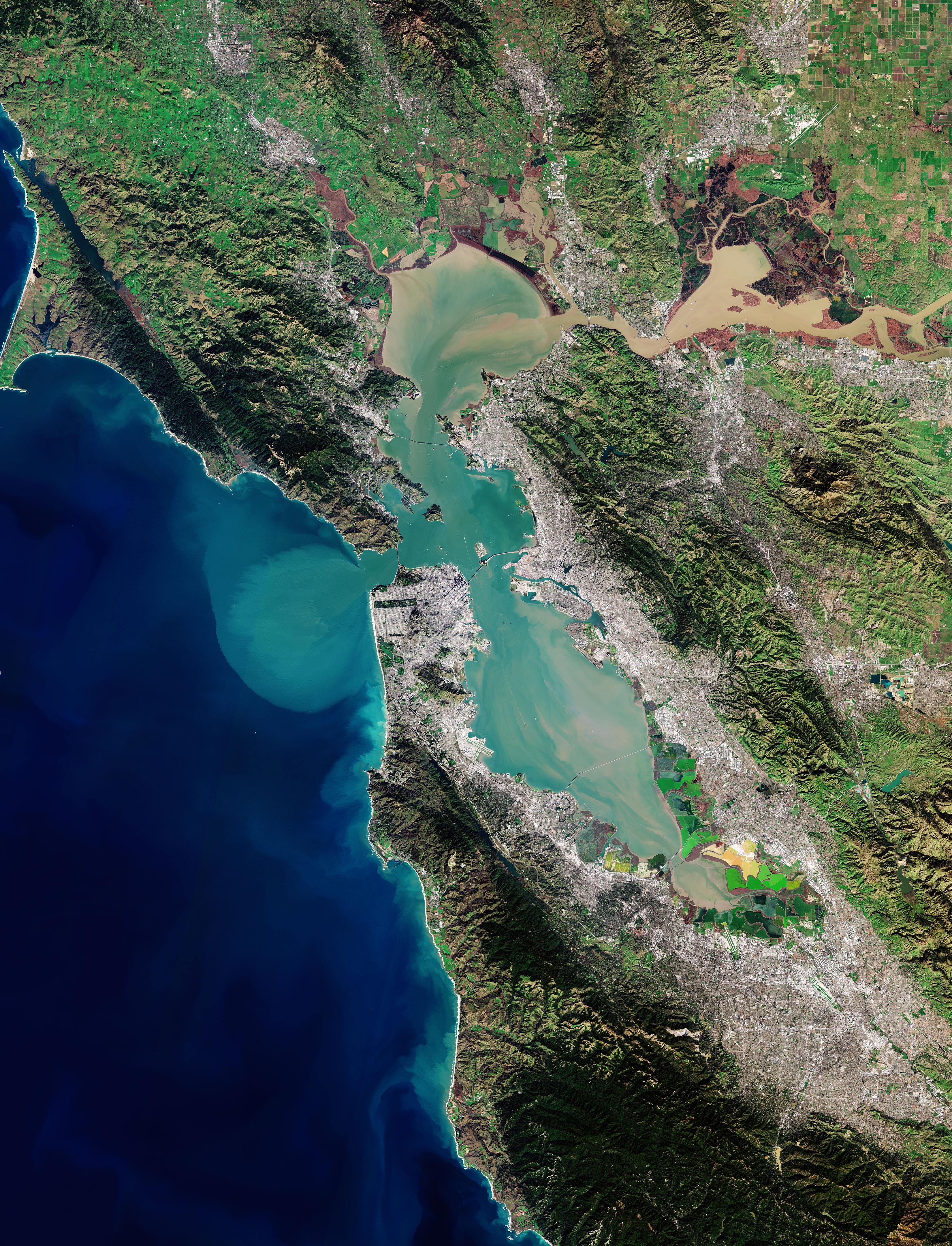 [TMP] "Satellite Captures Incredible Detailed View of San Francisco" Topic