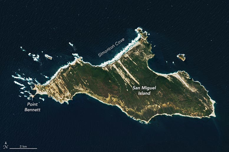 San Miguel Island 2025 Annotated