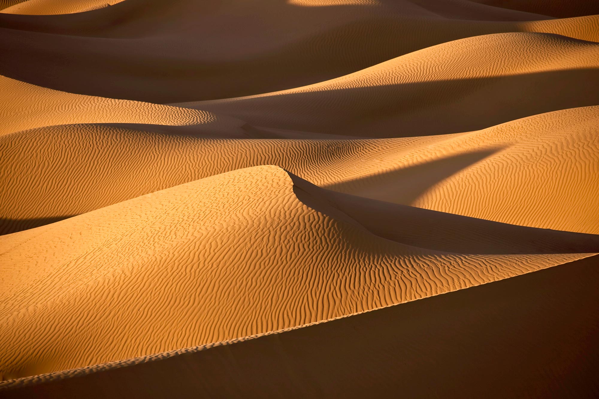 Physics Researchers Discover Sand Dunes Can Communicate With Each Other