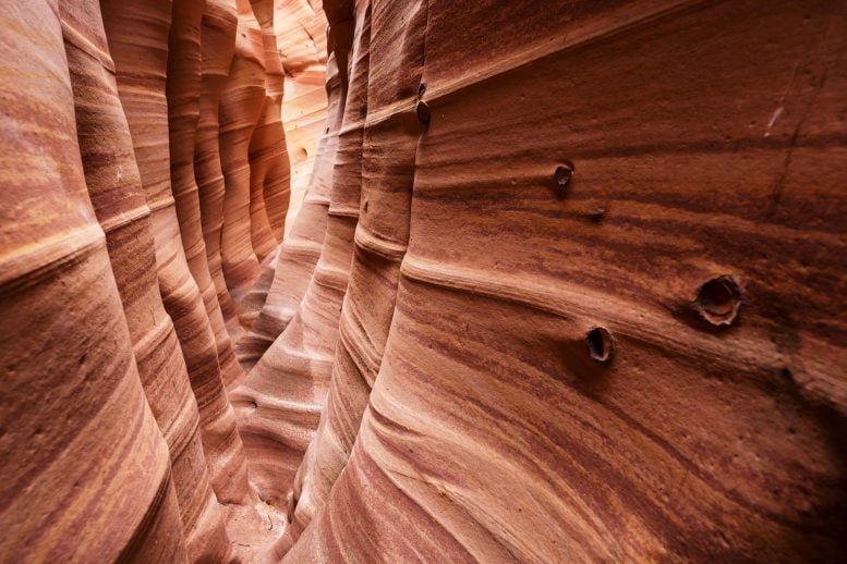 The Grand Canyon’s “Swiss Cheese” Rocks Hold a Critical Secret