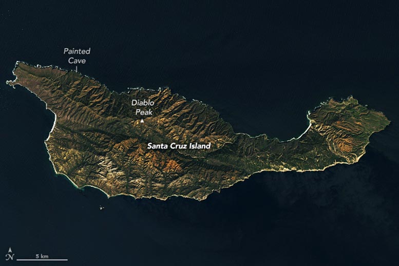 Santa Cruz Island 2025 Annotated