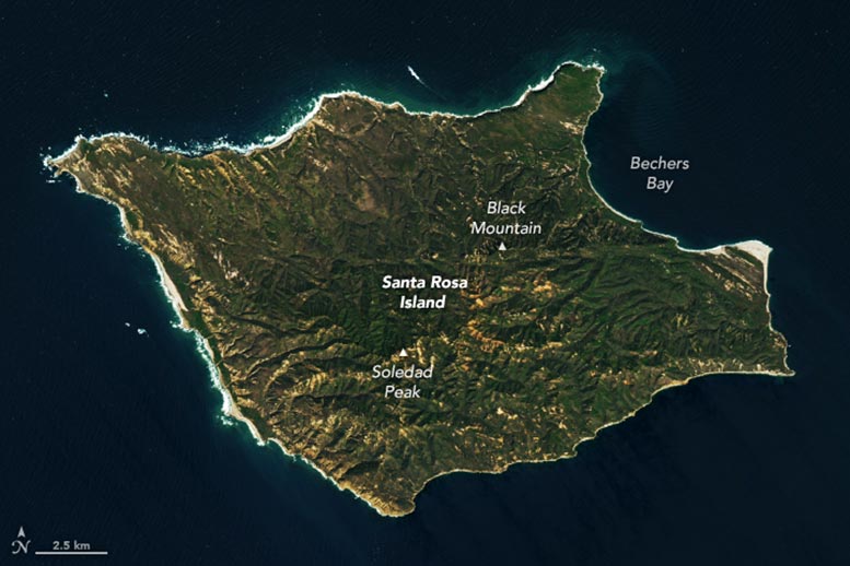 Santa Rosa Island 2025 Annotated