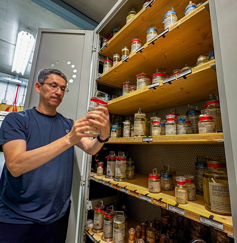 Santiago Ron Reviewing Jars With Historical Specimens