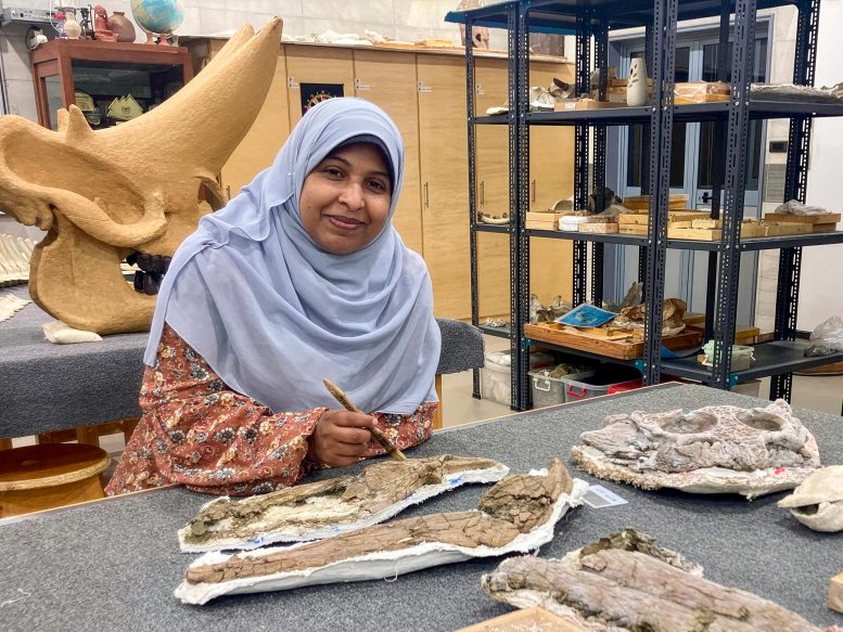 Sara Saber Pictured With the Holotype Specimen of Wadisuchus Kassabi