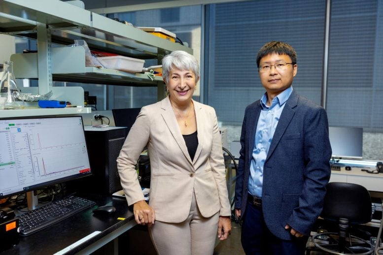 Sarah Sajedi and Chunjiang An