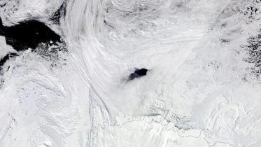 Satellite Image Maud Rise Polynya in Antarctica