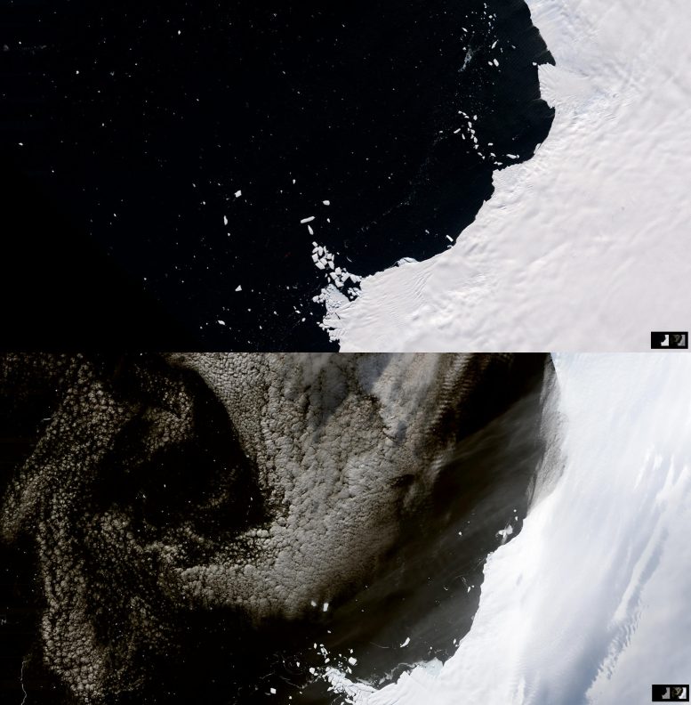 Satellite Images of Shrinking Glaciers Along Western Antarctica