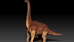Sauropod Dinosaur