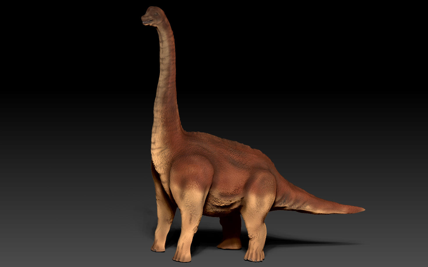 dinosaurio saurópodo