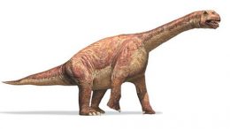 http://www.physorg.com/news/2011-11-skin-bones-large-dinosaurs-survive.html