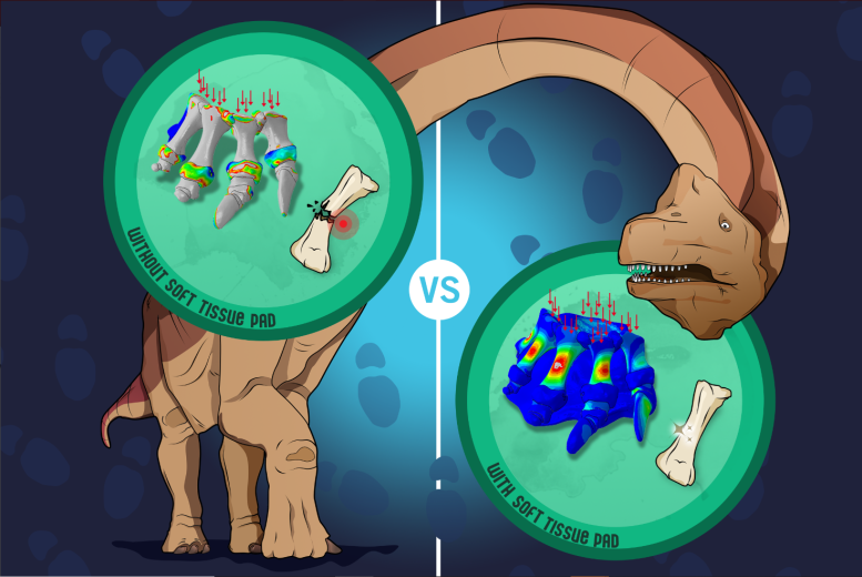 Sauropod Illustration
