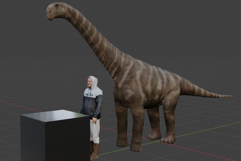 Sauropod Size Simulation Beside Human