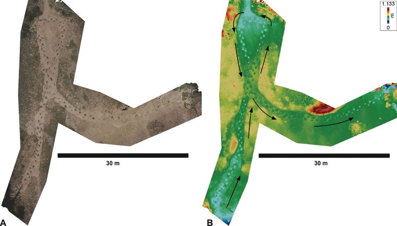 Sauropod Trackway Photo and Elevation Map