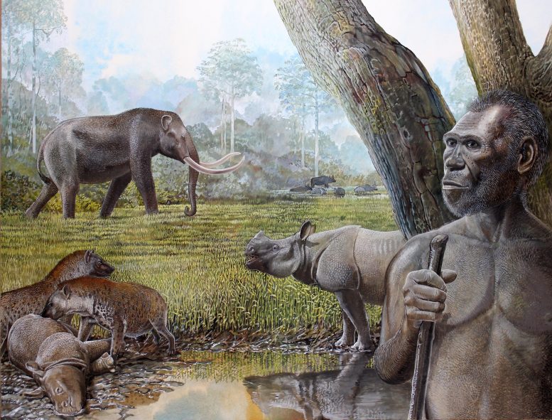 Savannah Middle Pleistocene Southeast Asia