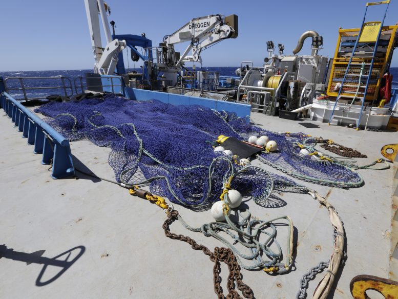 Scampi Net on Research Vessel Deck