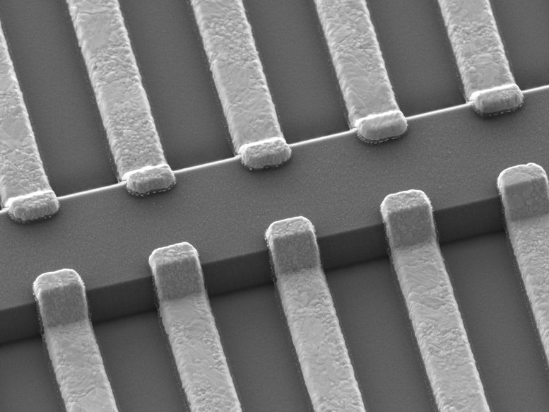 Scanning Electron Microscope Image of Metal Electrodes Used for Sidewall Poling