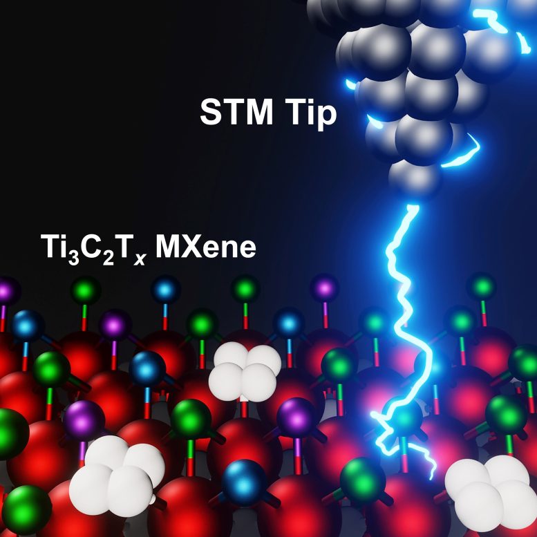 Scanning Tunneling Microscopy Mapping MXene Surfaces