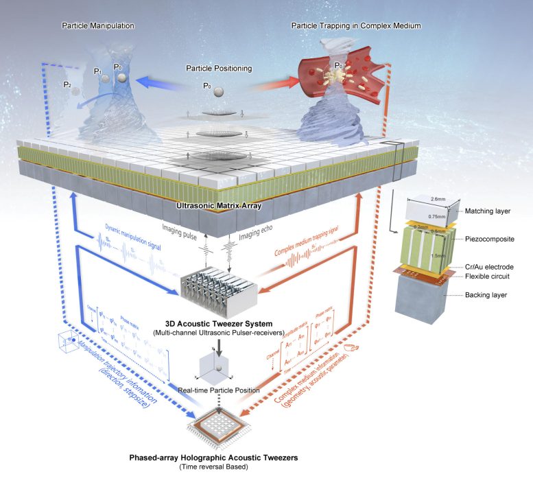 Schematic Diagram of Phased Array Holographic Acoustic Tweezers (PAHAT) System
