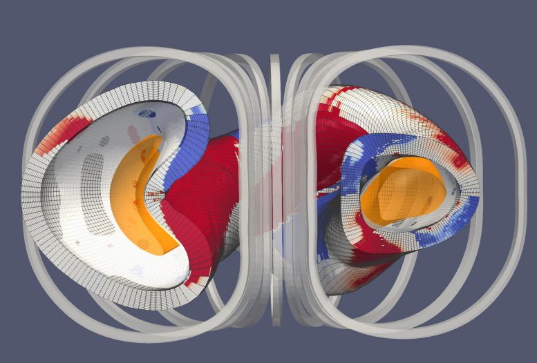Schematic Image of Permanent Magnet Stellarator