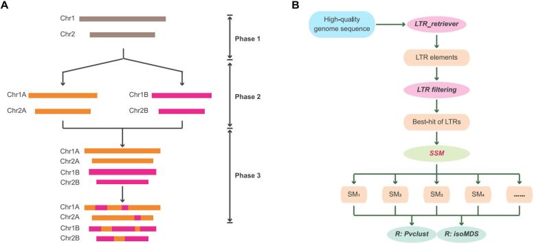 Schematic Overview of the SSM Method