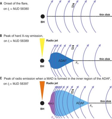 Unveiling the Magnetic Mysteries of Black Holes: How Does “MAD ...