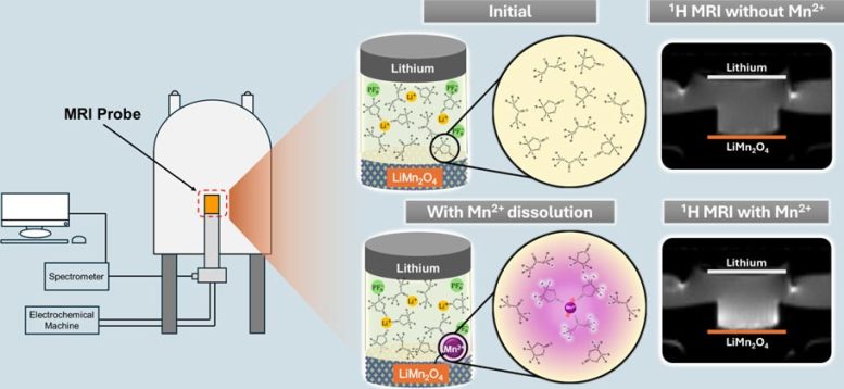 Schematic Representation of LiMn2O4 Cathode