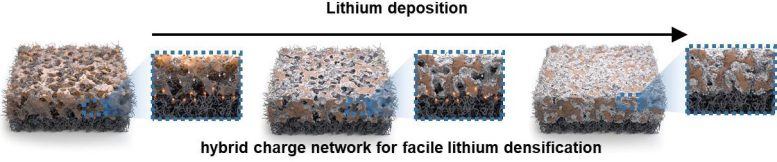 Schematic Representation of the Internal Geometry of the Hybrid Structure After Lithium Electrodeposition