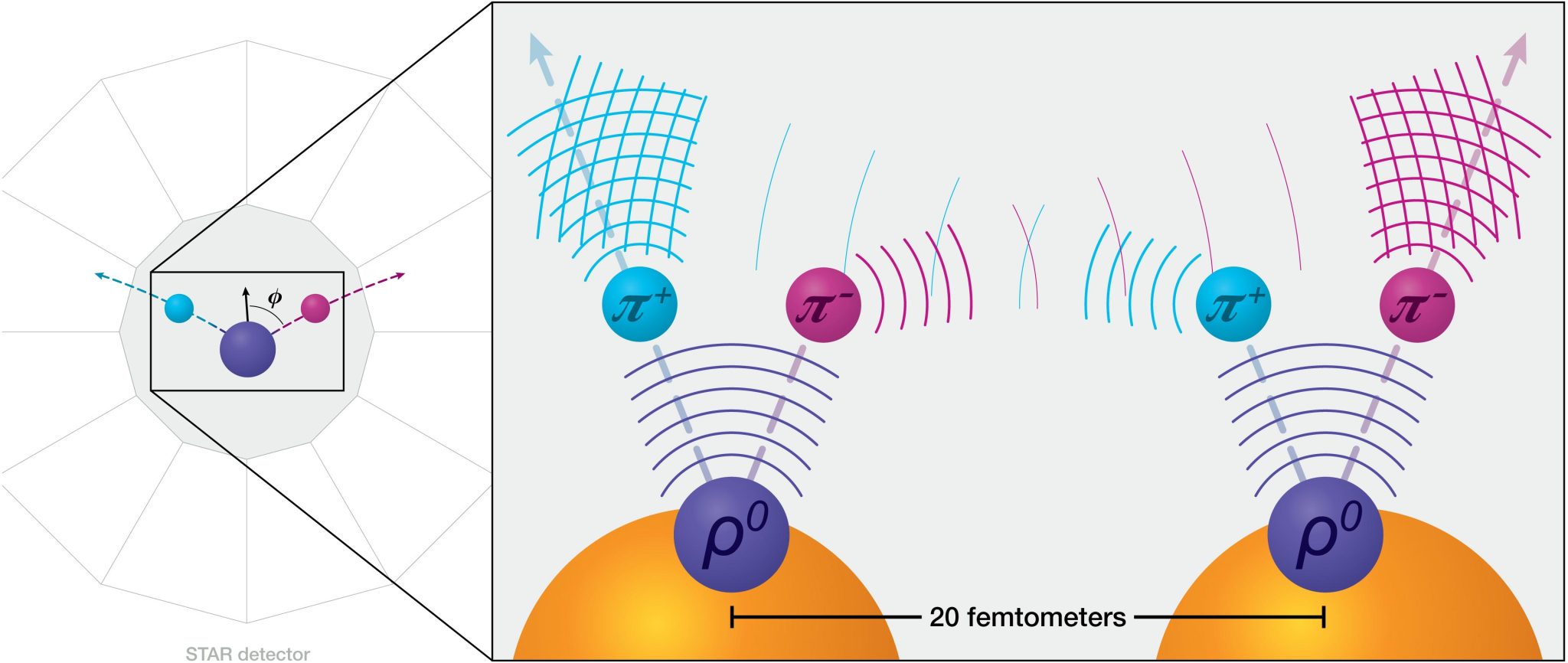 New Type of Entanglement Lets Nuclear Physicists “See” Inside Atomic Nuclei