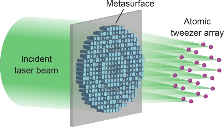 Schematic of Metasurface Generated Optical Tweezer Array