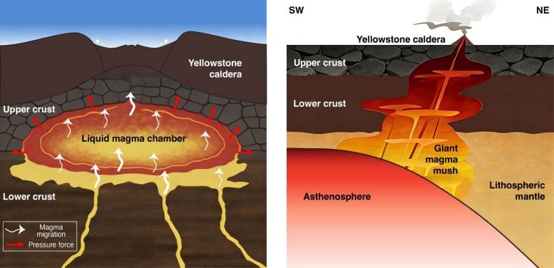 Schematics of Yellowstone’s Magmatic System