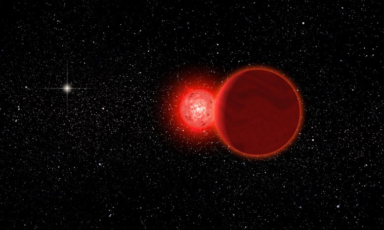 Scholz's Star and Its Brown Dwarf Companion