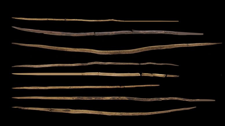 Schöningen Spear II From Prehistoric Germany