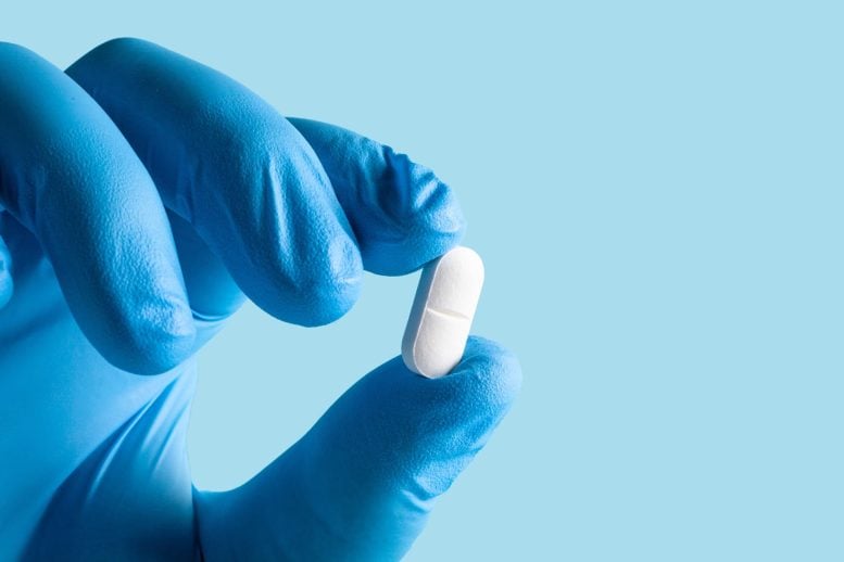 Popular Vitamin B3 Supplements May Help Cancer Cells Survive, Scientists Warn