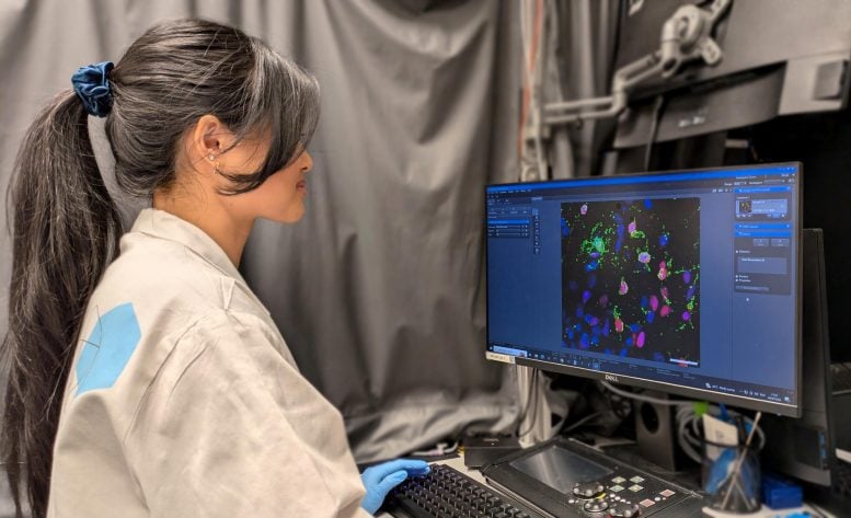 Scientist Captures Images of Human Oligodendrocytes