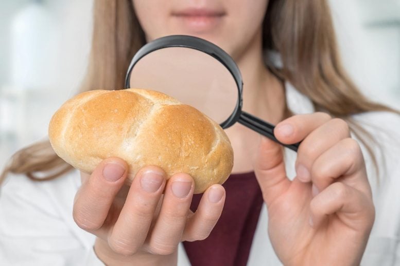 Eating This Common Food Ingredient Is Linked To Gut Damage and Obesity Risk in Offspring