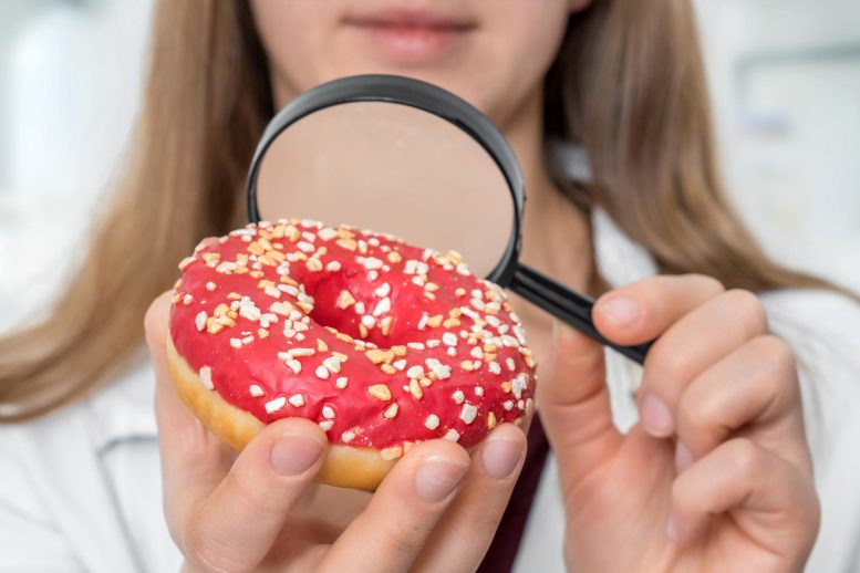 Scientist Examines Donut