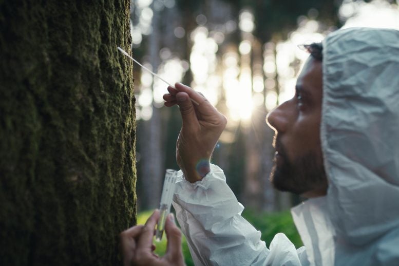 Scientists Just Found Something Weird Inside Moss