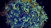 Scientists Announce New Anti-HIV Agent