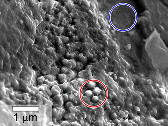 Scientists Discover Evidence of Water in Martian Meteorite