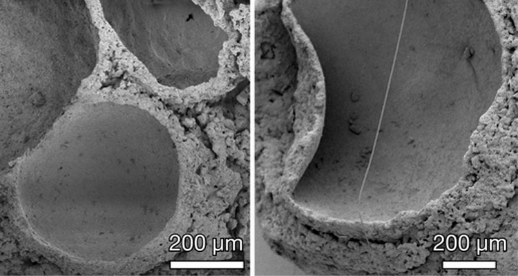 Scientists Discover Fossilized Oxygen Bubbles