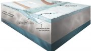 Scientists Find Evidence of Tectonic Plates on Europa