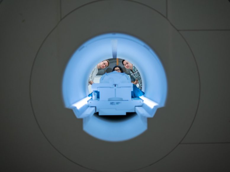 Scientists Peer Through fMRI Scanner
