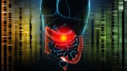 Scientists Reveal Role of INAVA Gene in IBD