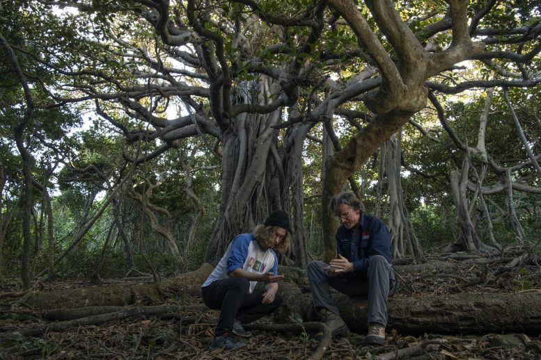 Scientists Under a Banyan Tree
