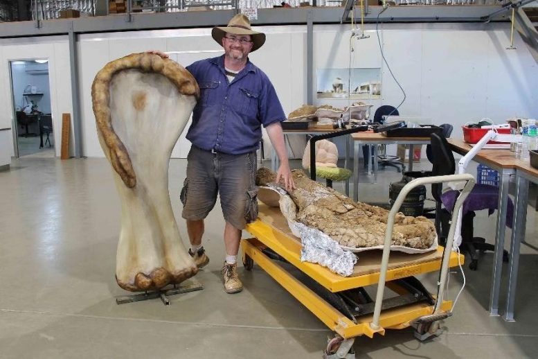 Scott Hocknoll con un fósil de dinosaurio humeral